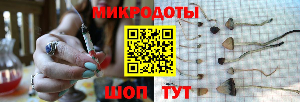Псилоцибиновые грибы MAGIC MUSHROOMS Рославль